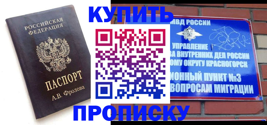 прописка поиск в Дальнегорске